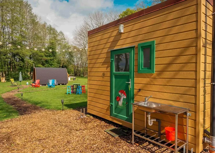 Kuhle Auszeit - Glueckspilz